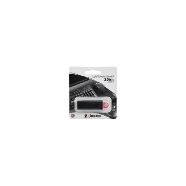 KINGSTON PENDRIVE - 256GB